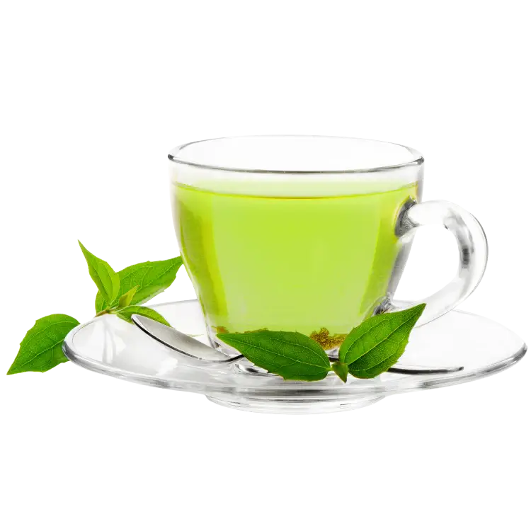 Green Tea Extract